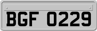BGF0229