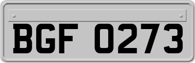 BGF0273