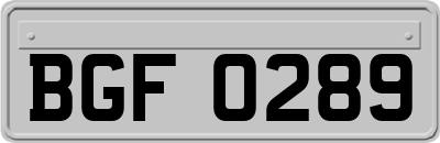 BGF0289