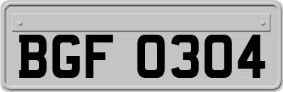BGF0304