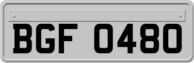 BGF0480