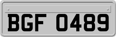 BGF0489