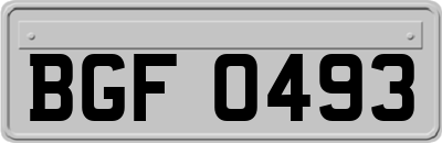 BGF0493