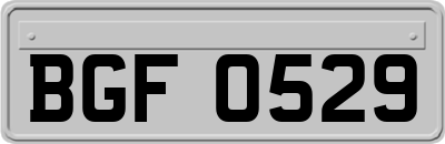 BGF0529