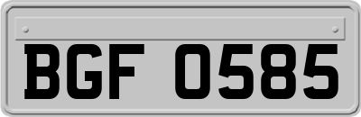 BGF0585