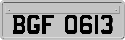 BGF0613