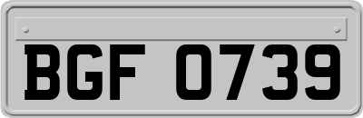 BGF0739