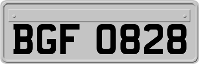 BGF0828