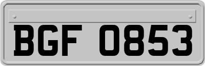 BGF0853