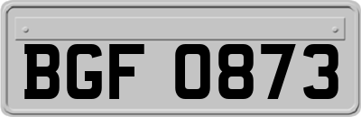 BGF0873