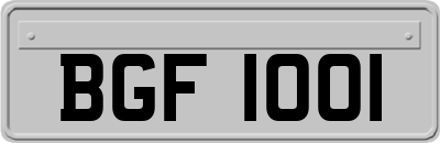 BGF1001