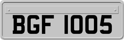 BGF1005