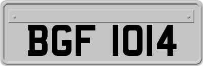BGF1014