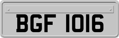 BGF1016
