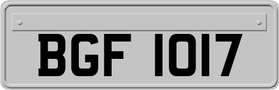 BGF1017