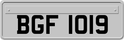 BGF1019
