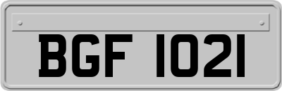 BGF1021