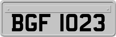 BGF1023