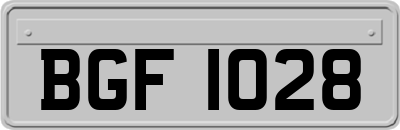 BGF1028