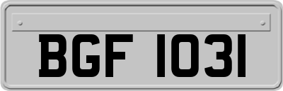 BGF1031