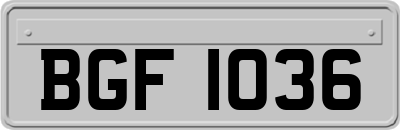 BGF1036