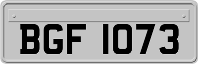 BGF1073