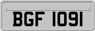BGF1091