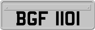 BGF1101