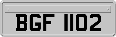 BGF1102