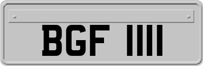 BGF1111