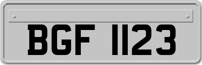 BGF1123