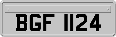 BGF1124