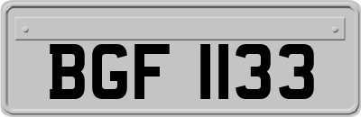 BGF1133