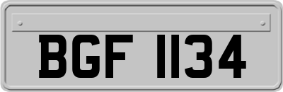 BGF1134