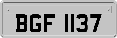 BGF1137