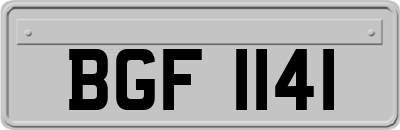 BGF1141