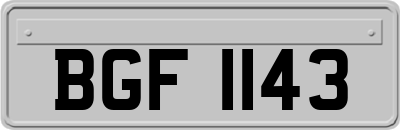 BGF1143