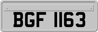 BGF1163