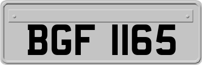 BGF1165