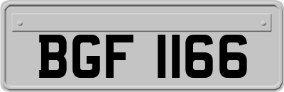 BGF1166