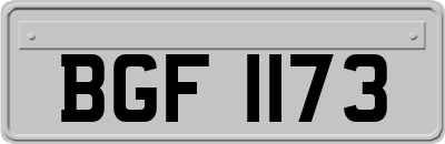 BGF1173