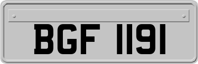 BGF1191