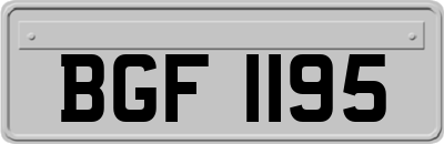 BGF1195
