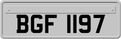 BGF1197