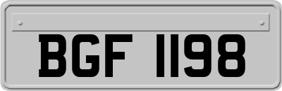 BGF1198
