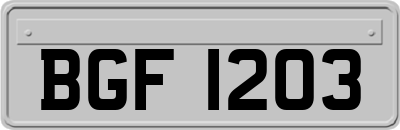 BGF1203