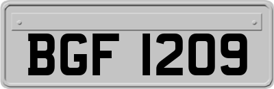 BGF1209