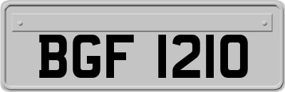 BGF1210
