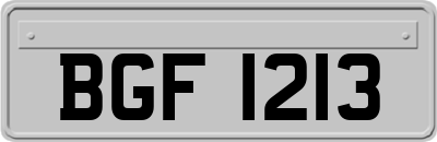 BGF1213