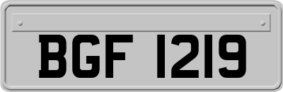 BGF1219